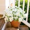 Artificial Dahlia Flowers Fake Flower Plants for Outdoors Spring Decoration, 6 Bundles Faux Dahlia White Silk Flowers for Outside Realistic UV Resistant for Planter Front Door Porch Patio Balcony Yard